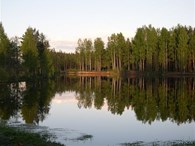 Амурский дом Партнер