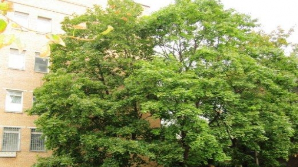 Аренда псн 563.3м2, метро Перово