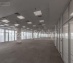 офис 1655 кв.м - Москва, Романов переулок, 4