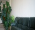 офис 41 кв.м - Москва, Профсоюзная улица, 57