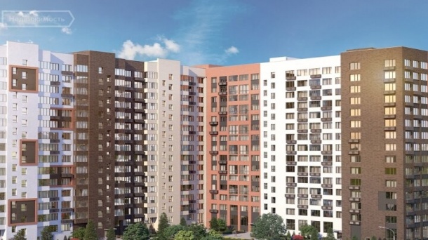 Торговая площадь (81.1 м²)