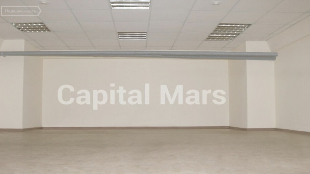 Офис (36.5 м²)