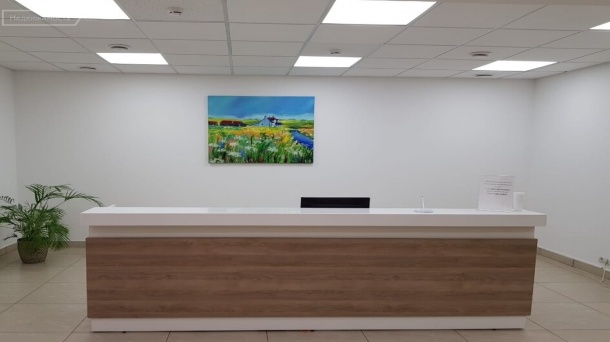 Офис (19.5 м²)