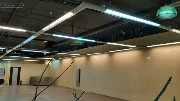 Торговая площадь (50 м²)