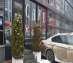 офис 56 кв.м - Москва, Дмитровское шоссе, 157с1